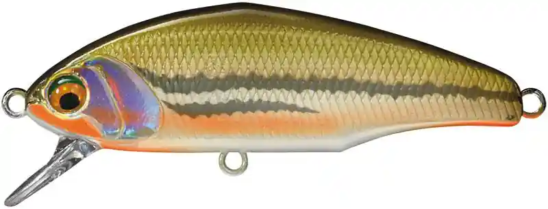 Retour Gratuit Poisson-nageur Smith D-Incite 4,4cm