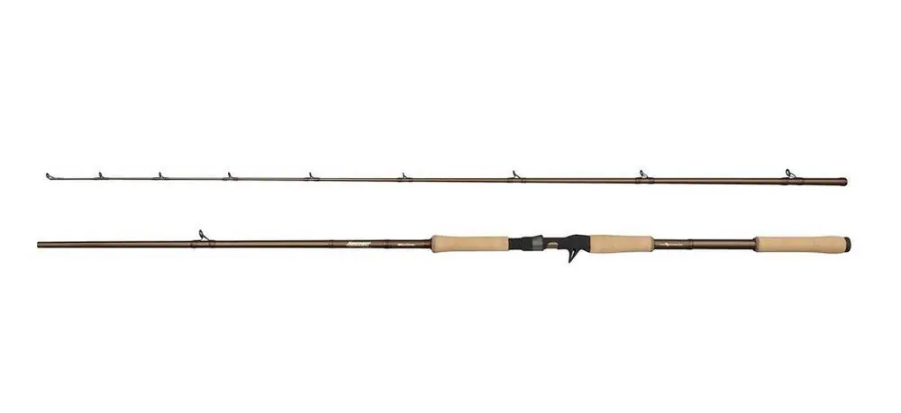 Offre Du Jour Canne Casting Abu Garcia Beast Pro2