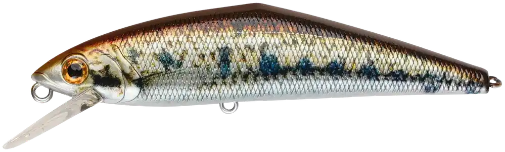 Meilleur Prix Poisson-nageur Smith D-Contact FES 6.3cm