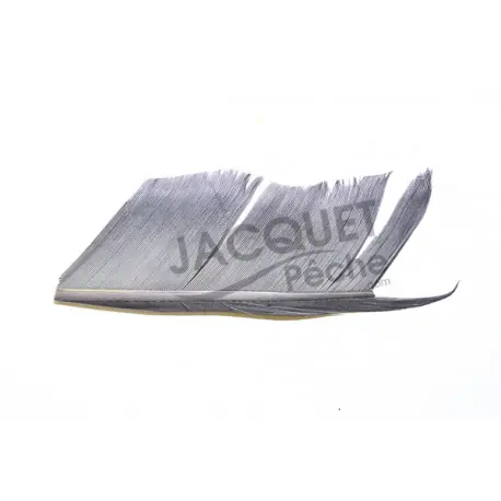 Affaire À Saisir Substitut de Condor JMC Gris