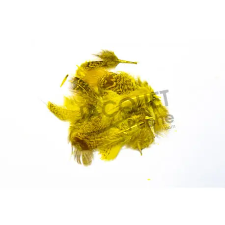 Authentique Perdrix grise jaune JMC