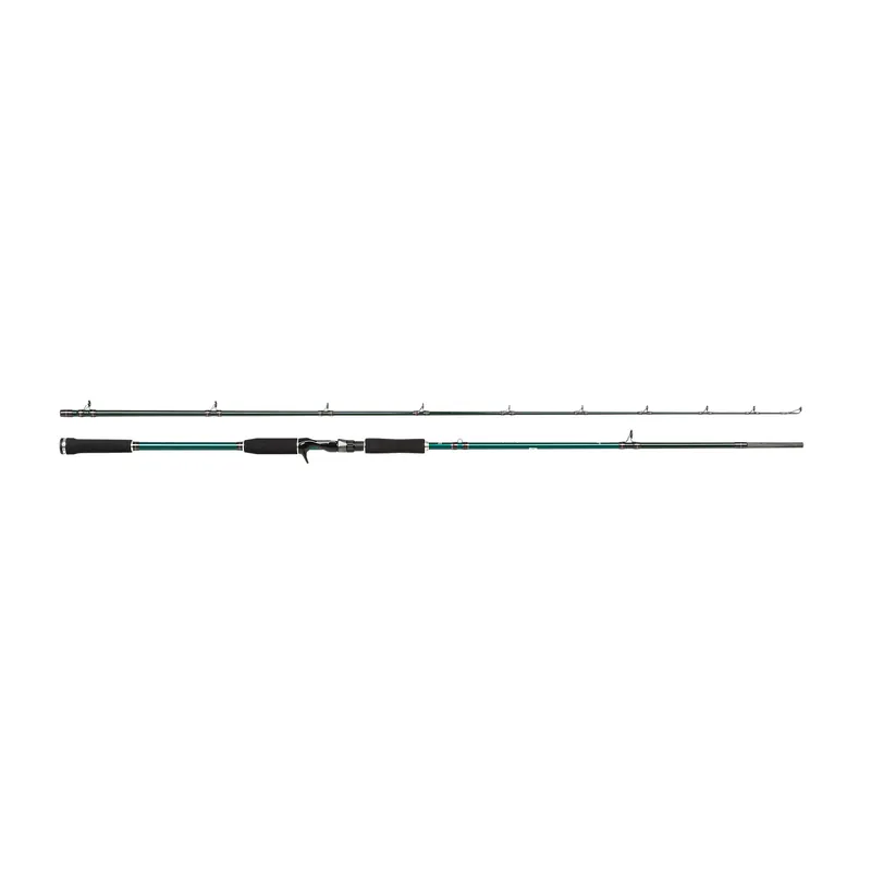Dernier Modèle Canne Abu Garcia Beast X Casting Rod