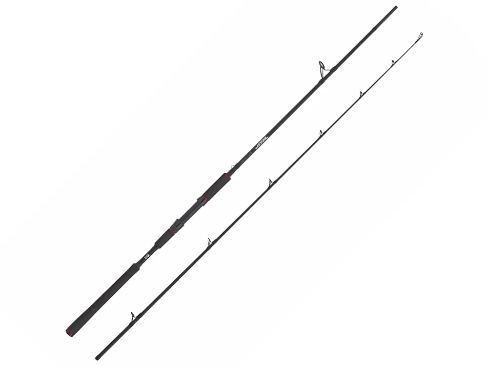 Réduction Canne Spinning Abu Garcia Beast