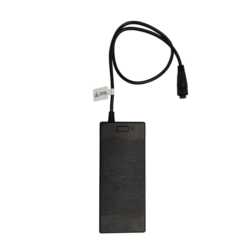 Caricabatterie 220V per motore elettrico eLite Nouvel Arrivage